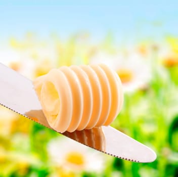 Curl of fresh summer butter in a spiral roll balanced on a silver knife outdoors in summer sunshine with greenery