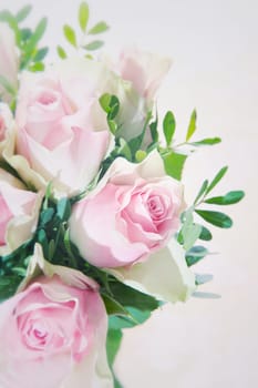 Closeup of a beautiful pink rose in an arrangement of fragile pink roses with greenery over a white background