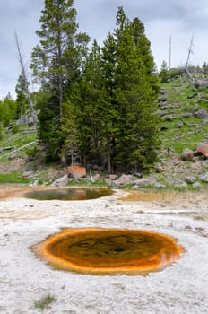 geyser in Yellowstone National Park in Wyoming