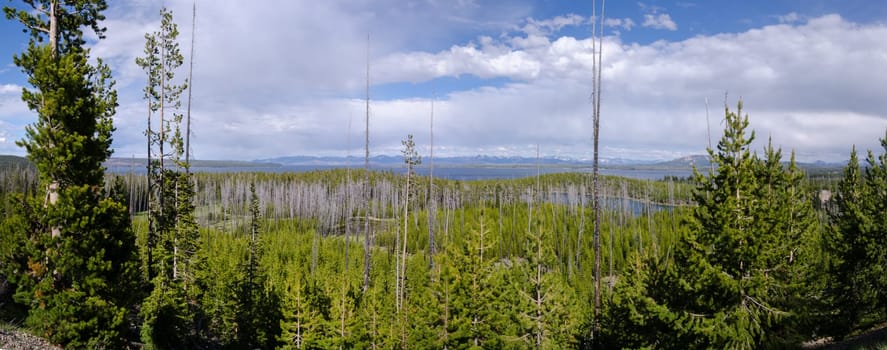 overview of Yellowstone Lake in Yellowstone National Park in Wyoming
