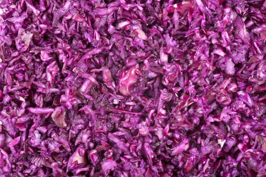 Finely grated red cabbage filling frame for food background