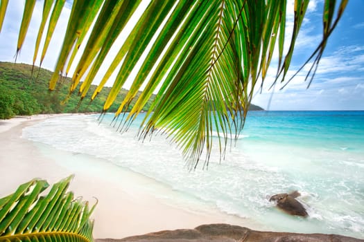 Anse Lazio Beach - Seychelles