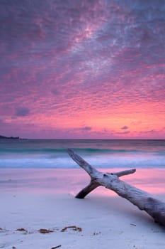 Sunset on the beach