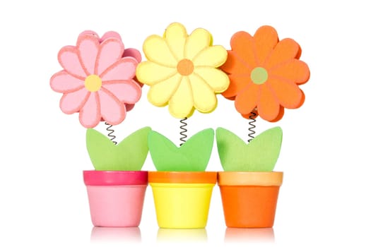 Wooden flowers in pots, isolated on white background