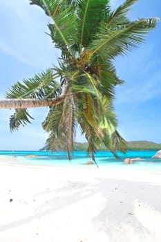 Anse Boudin - Seychelles