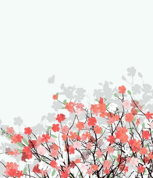 Cherry flower background with room for text