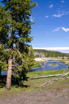 River in Yellowstone National Park in Wyoming in the United States of America
