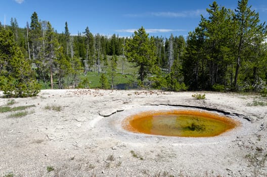 geyser in Yellowstone National Park in Wyoming in the United States of America