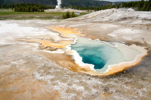 geyser in Yellowstone National Park in Wyoming in the United States of America