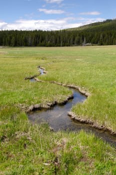 River in Yellowstone National Park in Wyoming in the United States of America