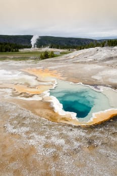 geyser in Yellowstone National Park in Wyoming in the United States of America