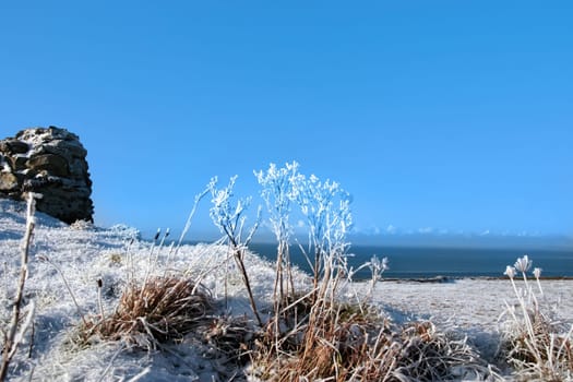 a seasonal crisp snow frosty covered grass ditch with a frozen weed plants