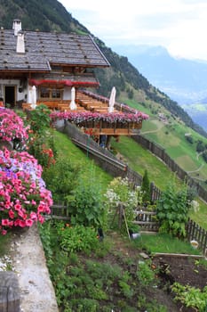 On the Merano High Trail in South Tyrol