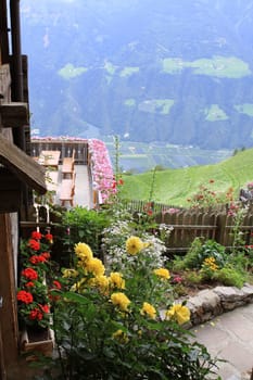 On the Merano High Trail in South Tyrol