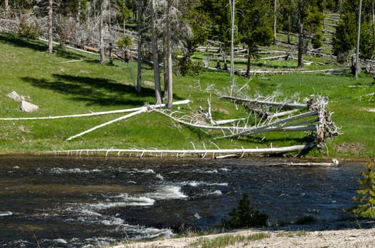 River in Yellowstone National Park in Wyoming in the United States of America