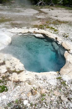 geyser in Yellowstone National Park in Wyoming in the United States of America