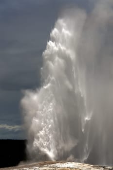 Old Faithful Geyser erupting in Yellowstone National Park in Wyoming in the United States of America