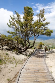 wooden walkway at Mammoth Hot Springs in Yellowstone National Park in Wyoming in the United States of America