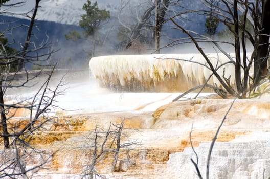 Mammoth Hot Springs in Yellowstone National Park in Wyoming in the United States of America