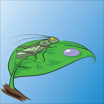 colorful illustration with grasshopper for your design
