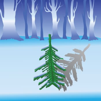 colorful illustration with fir for your design