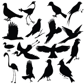 black silhouettes of birds for your design