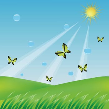 colorful illustration with butterflies  for your design