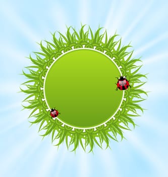 Illustration spring freshness card with grass and ladybugs - vector