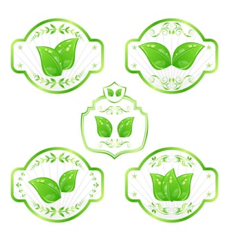 Illustration set of green ecological labels with leaves isolated on white background - vector