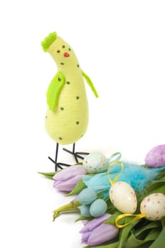 Easter chicken with tulips and eggs isolated on white