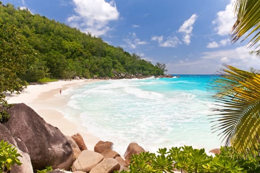tropical beach with white sand and turquoise waters - Seychelles,Anse Georgette