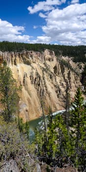 overlooking  the falls Yellowstone in Yellowstone National Park in Wyoming in the United States of America
