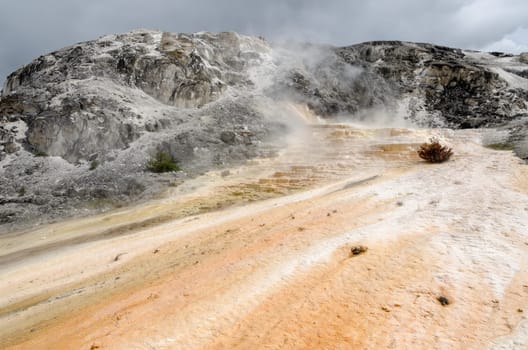 sulfur in Mammoth Hot Springs in Yellowstone National Park in Wyoming in the United States of America