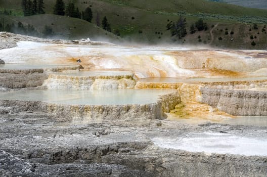 landscape at Mammoth Hot Springs in Yellowstone National Park in Wyoming in the United States of America