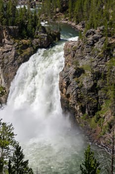 Yellowstone Falls in Yellowstone National Park in Wyoming in the United States of America