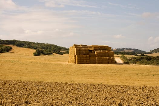 Bales of hay in the spanish countryside in the summer