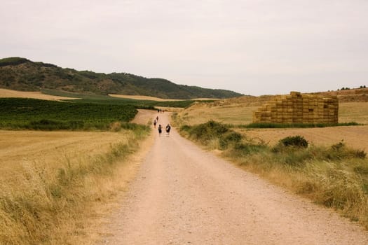 Pilgrims Way of St. James in the summer