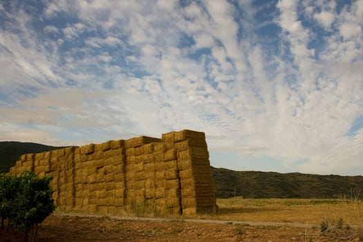 Bales of hay in the spanish countryside in the summer