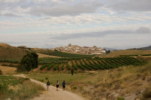 Pilgrims on the road, Way of St. James