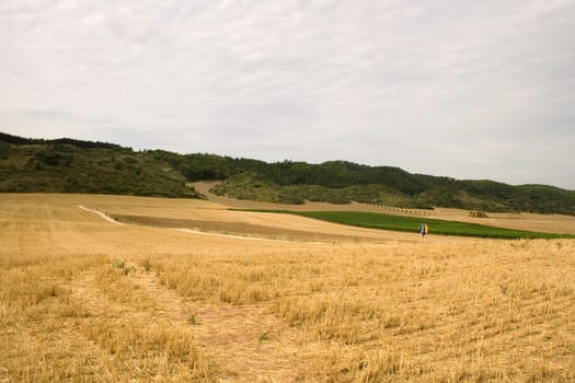 Pilgrims Way of St. James in the summer