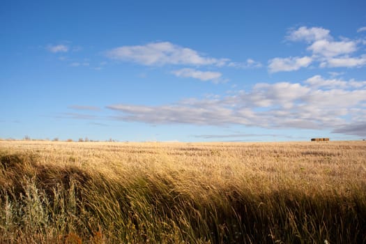 View of Spanish countryside in the summer
