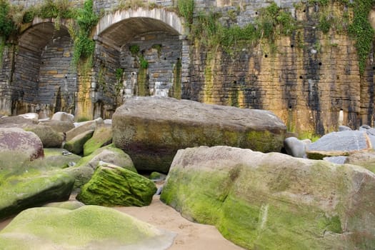 Photo of Moss on rock in the spanish beach