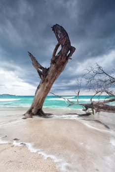 Impending storm over the Seychelles