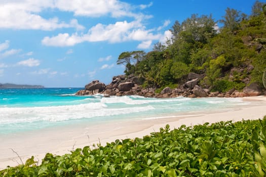 tropical beach with white sand and turquoise waters - Seychelles,Anse Georgette