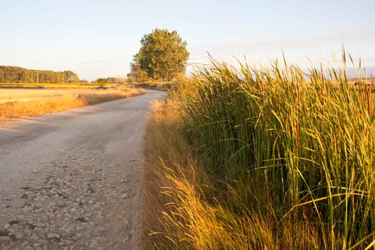 The Way of St. James