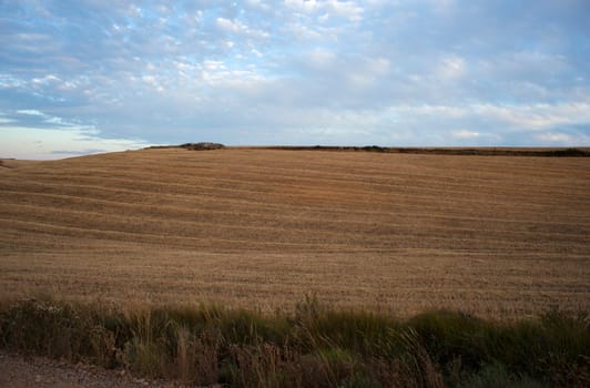 Rural scene in the spanish countryside