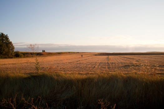 Field in the Spanish countryside