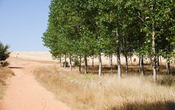 Road in the countryside, Spain