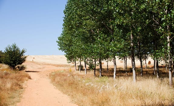 Road in the countryside, Spain