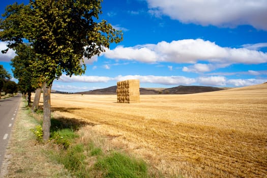 View of Spanish countryside in the summer